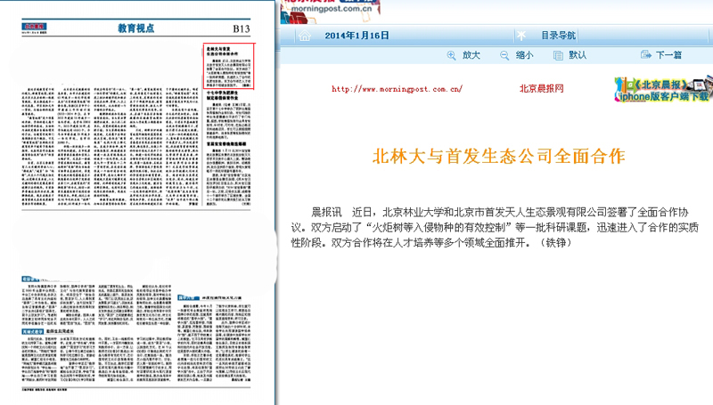复件 北京晨报  北林大与首发生态公司全面合作.jpg